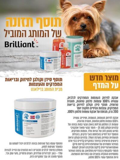 בריליאנט תוסף סידן וקולגן 200 גרם Brilliant Calcium & Collagen Powder