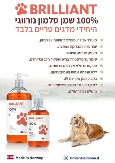 שמן סלמון נורווגי בריליאנט Brilliant 100 Salmon Oil Unrefined Fresh Norweigianיתרונות שמן סלמון דיגיפט